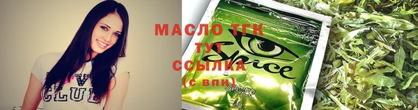 дживик Бронницы