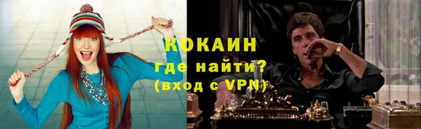 дживик Бронницы