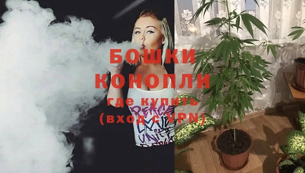 дживик Бронницы