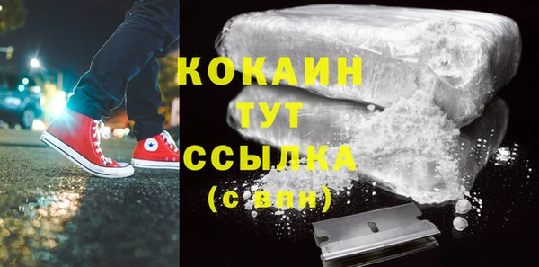 дживик Бронницы