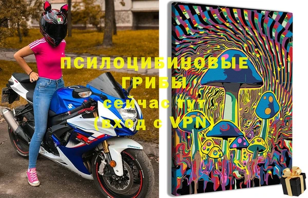 дживик Бронницы