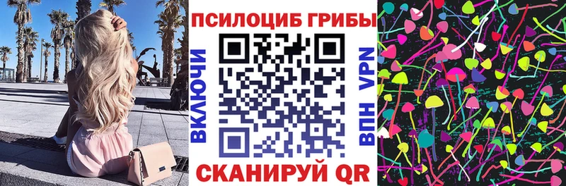 Галлюциногенные грибы MAGIC MUSHROOMS  блэк спрут как войти  Кочубеевское 